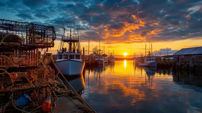 Working harbor with moored fishing boats and stacked crab pots at dawn, How to Start a Commercial Crabbing or Fishing Business in Delaware